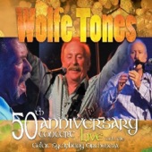 My Heart Is In Ireland by The Wolfe Tones