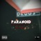 Paranoid (Feat. D.S.C) - Bakelendt lyrics