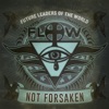 Not Forsaken - Single