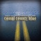 Comal County Blue artwork