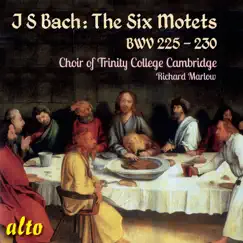 JS Bach: The Six Motets, BWV 225-230 by Trinity College Choir, Cambridge, Richard Marlow, Graham Jackson & Richard Pearce album reviews, ratings, credits