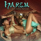 Harem: Club & Chillout Remixes artwork