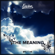 The Meaning - Envine