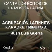 Agrupacion LatinHits - El Niagara En Bicicleta