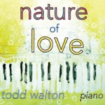 Todd Walton - Return to Go