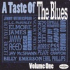 A Taste of the Blues, Vol. 1, 1993