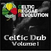 Celtic Reggae Revolution - Planxty Mahatma Ghandi