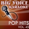 Karaoke Pop Hits - Backing Tracks for Singers, Vol. 45