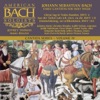 American Bach Soloists, Julianne Baird, Drew Minter, Benjamin Butterfield & James Weaver - Himmelskönig, sei willkommen, BWV 182: 4. Aria: Starkes Lieben