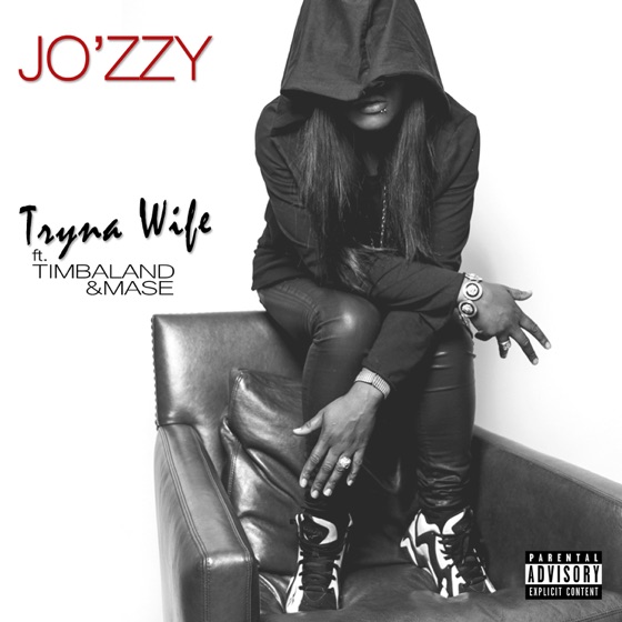 Cover artwork for Tryna Wife (feat. Timbaland & Mase)