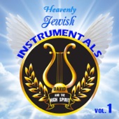 Heavenly Jewish Instrumentals, Vol. 1 artwork