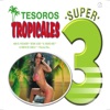 Tesoros Tropicales, 2014