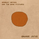 Stanley Brinks & The Wave Pictures - Orange Juice