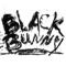 Punchline - Black Bunny lyrics