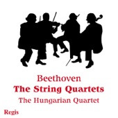 Beethoven: String Quartets artwork