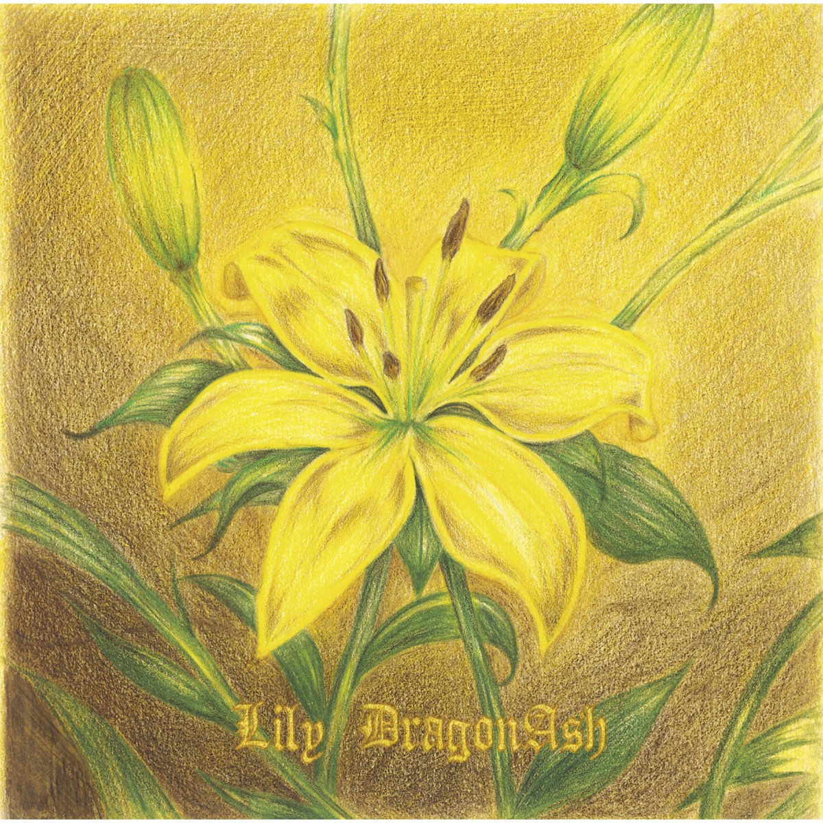 Dragon lily