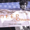 Deep in a Dream: An Evening With the Songs of David McComb, 2014