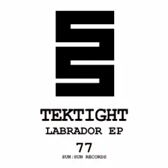 Labrador - Single by Tektight album reviews, ratings, credits