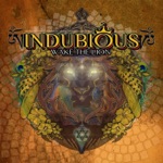 Indubious - Take You For a Ride