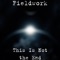ThIs Is Not the End - Fieldwork lyrics