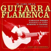 El Alma de la Guitarra Flamenca artwork
