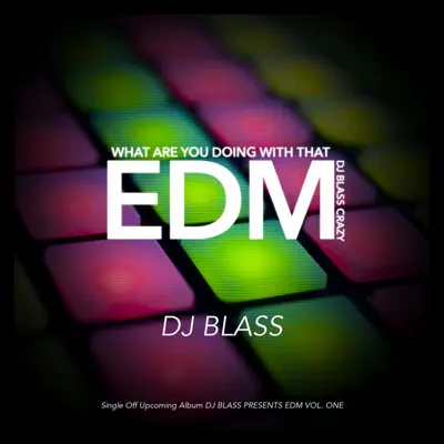 What Are You Doing with That Edm DJ Blass Crazy - Single - DJ Blass