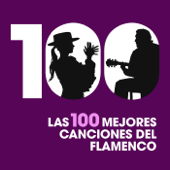 Las 100 mejores canciones del Flamenco - Varios Artistas