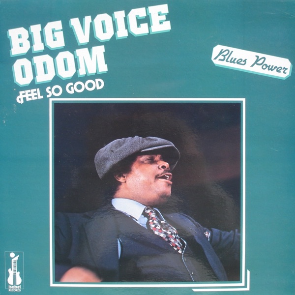 Feel So Good (Blues Power) [feat. Magic Slim & Lucky Peterson] - Big Voice Odom
