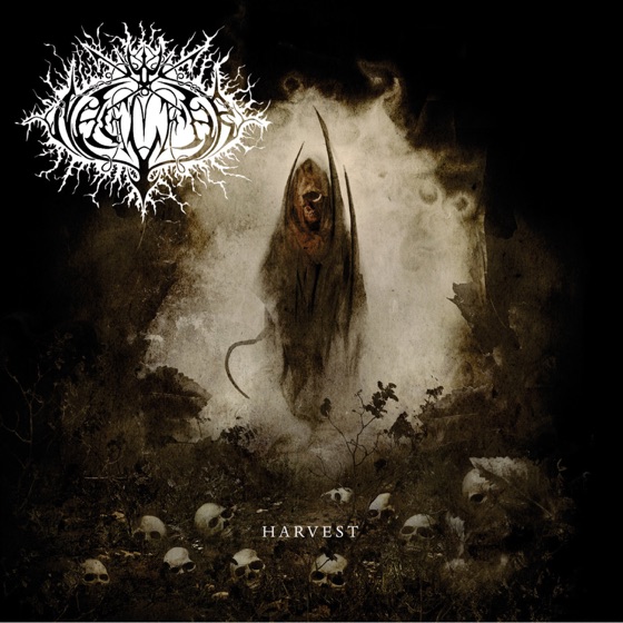 Cover artwork for Feeding Moloch