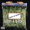 Lost a Sack - Single album lyrics, reviews, download