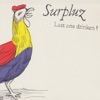 Surpluz - Zonder Zorgen