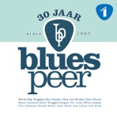 30 Jaar Blues Peer artwork