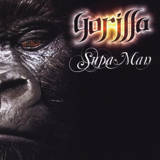 Cover artwork for Gorilla