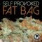 Fat Bag of Weed - Self Provoked & DJ Hoppa lyrics