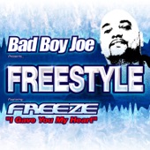 Badboyjoe's Best of Freeze (Mash Up) artwork