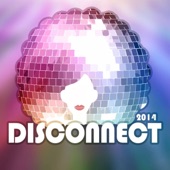 Flecha - Disconnect 2014