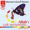 Allah'ı Çok Seviyorum