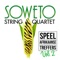 Tussen Jou En My (feat. Dozi) - Soweto String Quartet lyrics