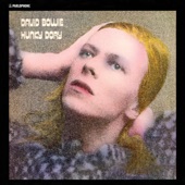 Hunky Dory  cover