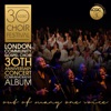 30th Anniversary Concert Commemorative Album