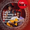 Dlalangam (Coke Studio South Africa: Season 1) - Single, 2015