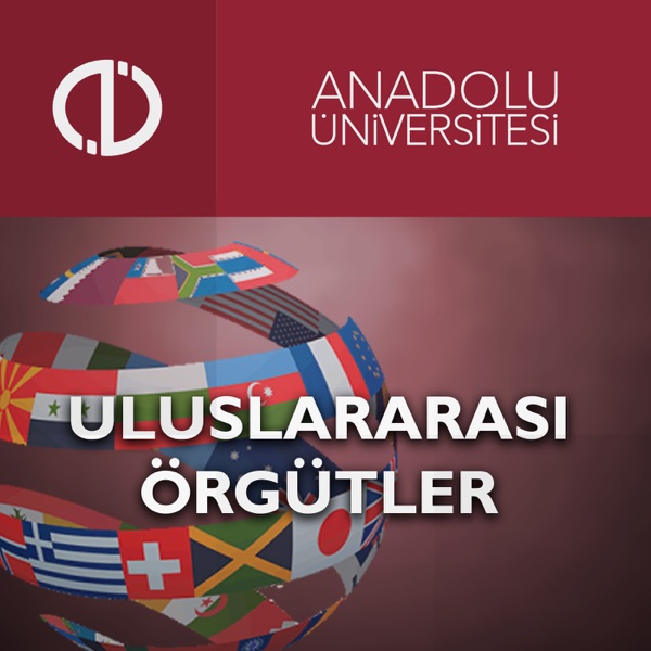 Uluslararası Örgütler cover
