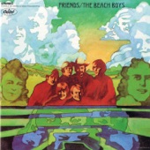 The Beach Boys - Little Bird