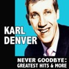 Never Goodbye: Greatest Hits & More