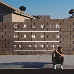 Calvin Harris - Drinking From the Bottle (feat. Tinie Tempah)