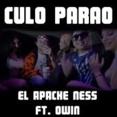 Culo Parao (feat. Owin) artwork