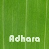 Adhara