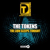 The Lion Sleeps Tonight (Radio Mix) artwork