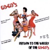Return to the Valley of The Go-Go's