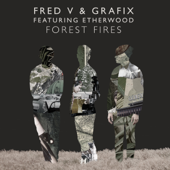 Forest Fires (feat. Etherwood) - Single - Fred V & Grafix